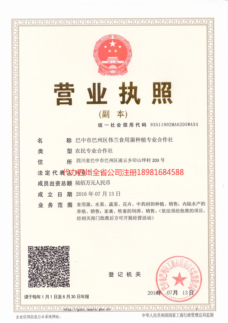 咸阳咸阳伟兰食用菌种植专业合作社